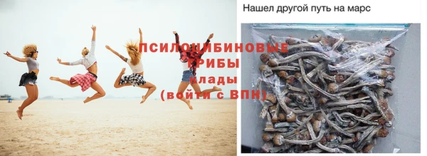 гидра Дрезна