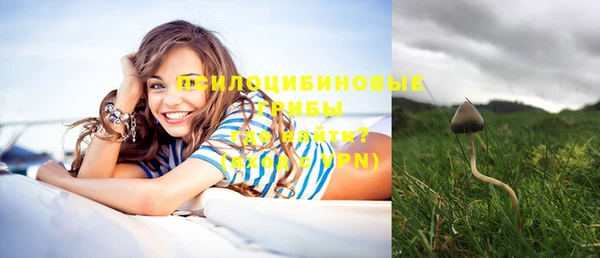 меф Ельня