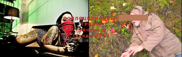 метадон Дубна